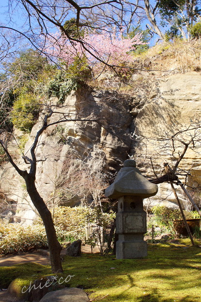 北鎌倉-384