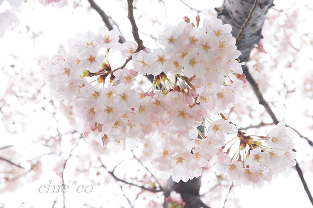 根岸森林公園-110
