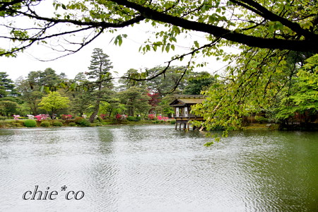 金沢-505