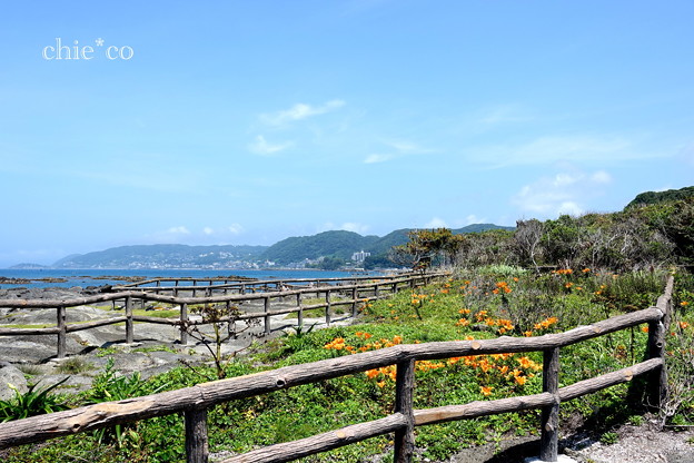 佐島-047