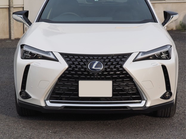 レクサス Lexus UX 200 260 300 フロントリップスポイラー-