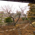 Photos: 一流D1-10と酈懸梅D1-149DSCN6322