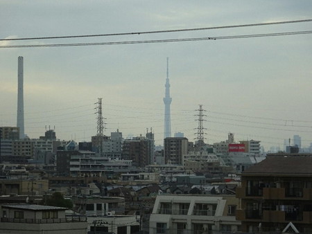 181105-2スカイツリー