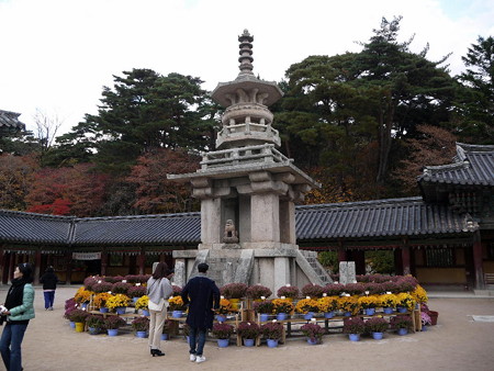 181113-58多宝塔