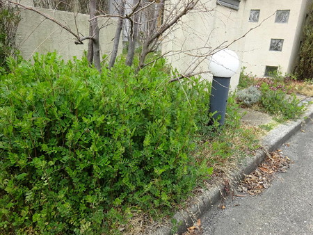 190325-1before