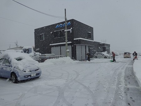 DSC08075 500