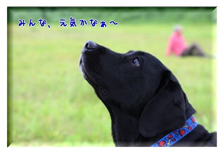 みんなは?