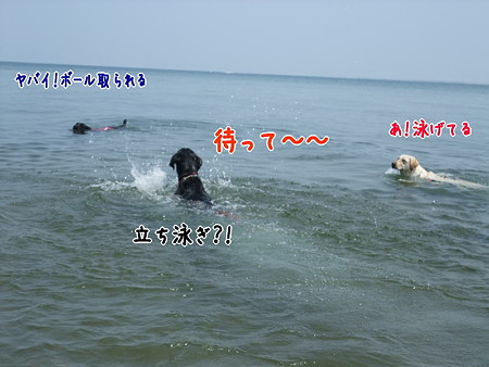 花初泳ぎ2