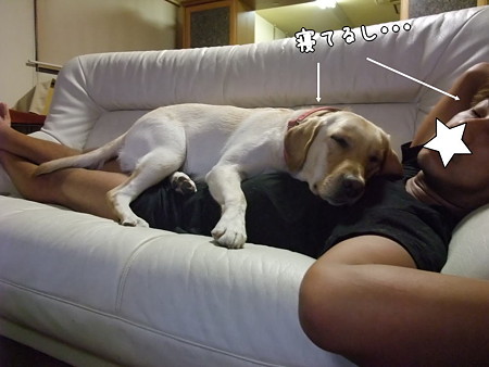 W睡眠