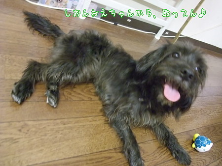 取った