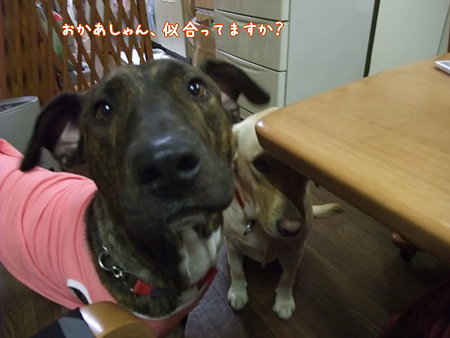 似合ってますか?