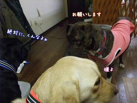 お願い