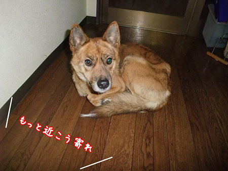 近こう寄れ