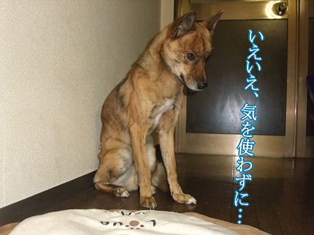 気を使わずに…