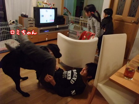 ロミと戯れる次男