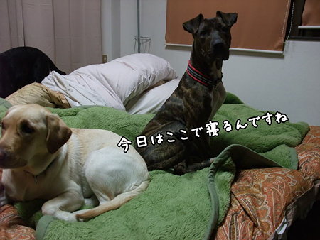 最後の晩