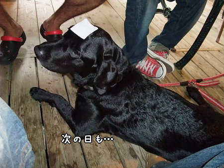 次の日も