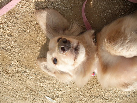 最高ね♪