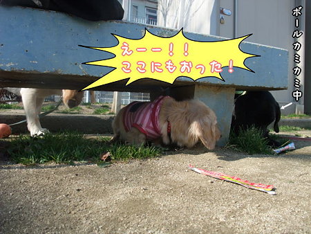 えー!ここにも!