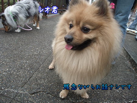 レオ