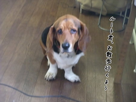 雨降ってるけど行く?