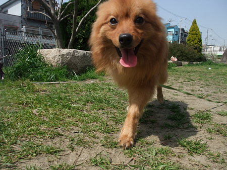天馬はいつもいい笑顔やね♪