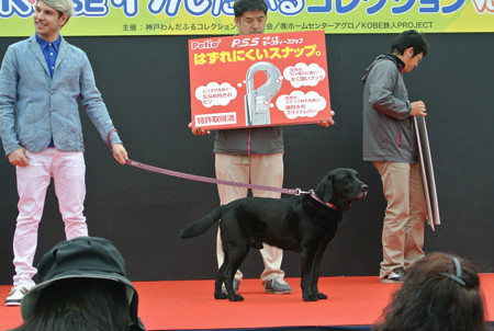 探す・・・で、発見!