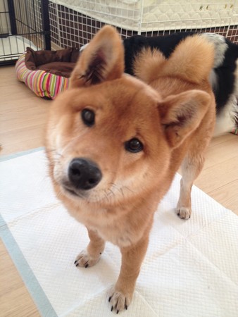 ワタシらはあんたの味方だよ!