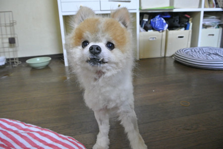 歯をよ~く見てください♪