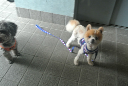 おうち到着♪