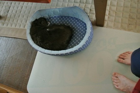 2つ
