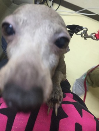 密着~~