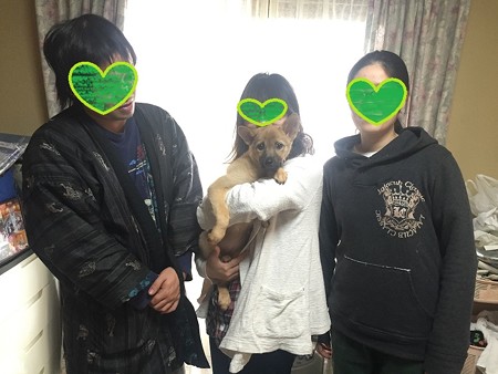 葵の家族