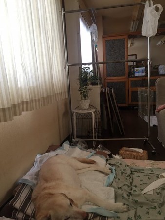 輸液点滴中