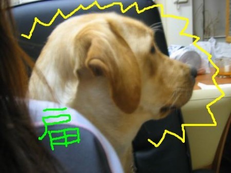 画像 1202 Web 表示用 (中)