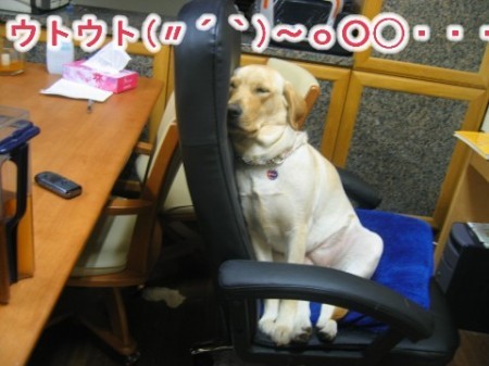 画像 1215 Web 表示用 (中)