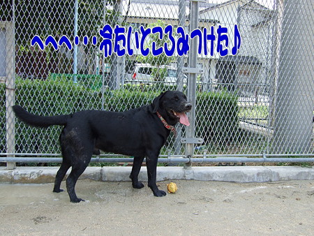 水溜り発見