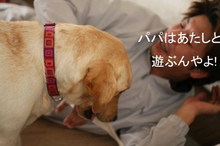私と遊んで!