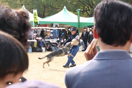 警察犬