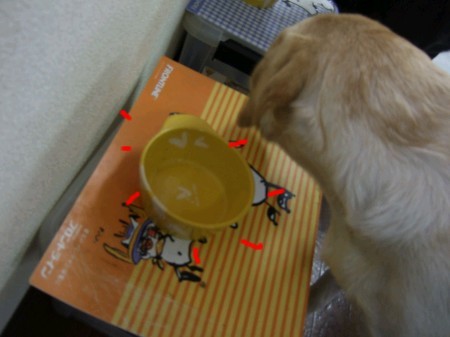 ご飯の時間 074
