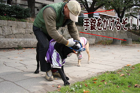 手錠