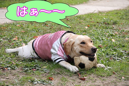 マイペースね・・