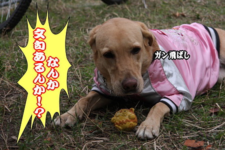 眼飛ばし