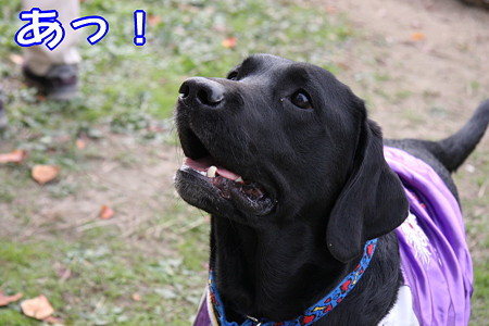 あっ!
