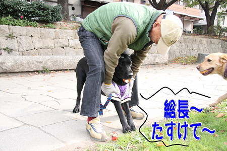 helpme~