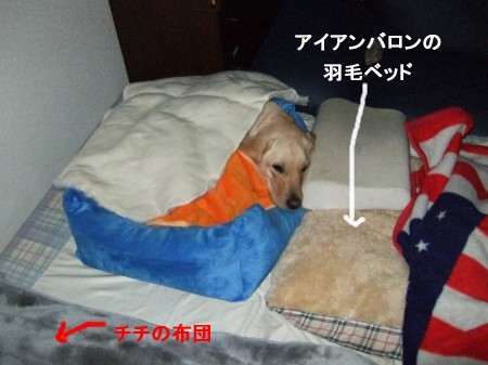 こんなかんじ