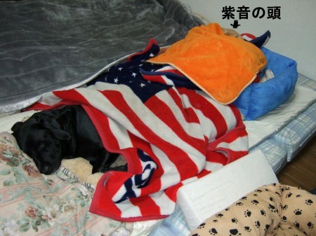 寝姿 4