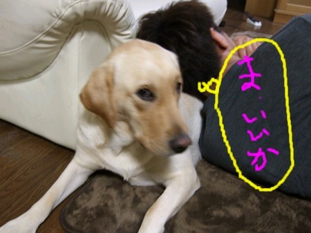 ま、いいか