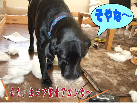 そや