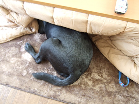 頭隠して・・・